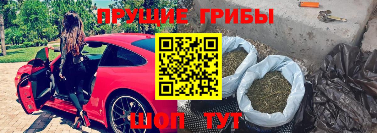 Галлюциногенные грибы Magic Shrooms  Вход с VPN  Лыткарино  Псилоцибиновые грибы Magic Shrooms 