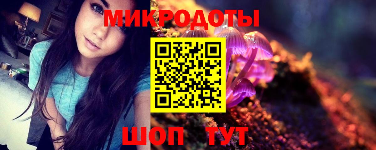 Псилоцибиновые грибы Psilocybine cubensis Лыткарино